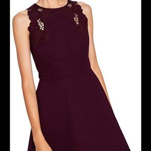 Ted Baker Emmona skater dress 4